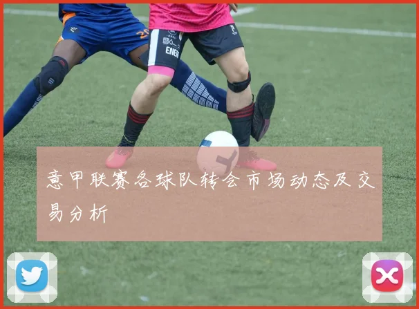 意甲联赛各球队转会市场动态及交易分析