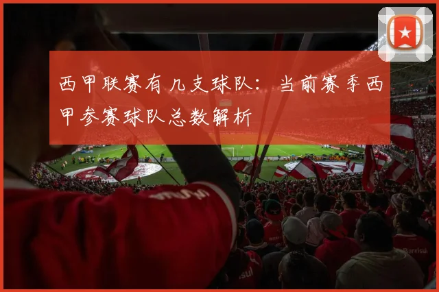 西甲联赛有几支球队：当前赛季西甲参赛球队总数解析