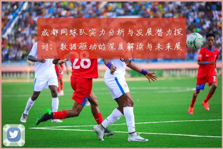 成都网球队实力分析与发展潜力探讨：数据驱动的深度解读与未来展望