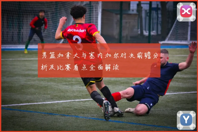 男篮加拿大与塞内加尔对决前瞻分析及比赛看点全面解读